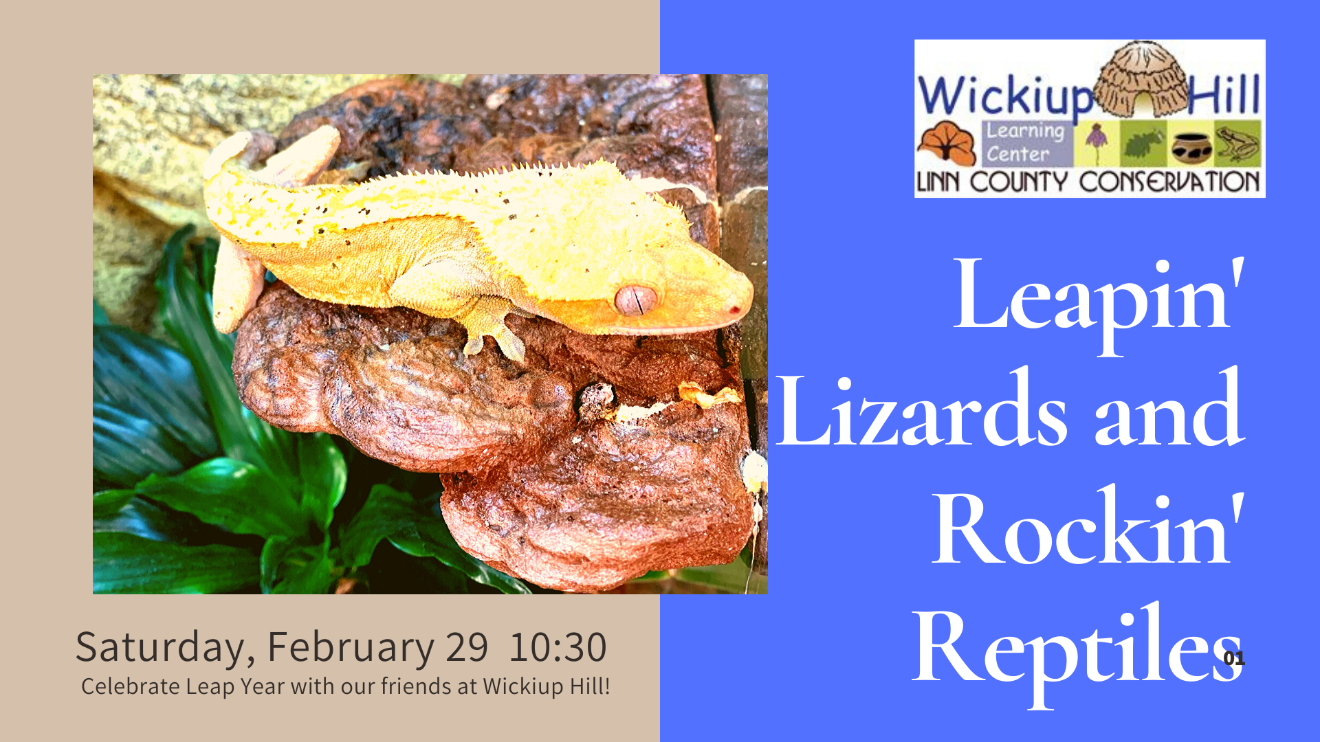 Events City of Hiawatha, IA